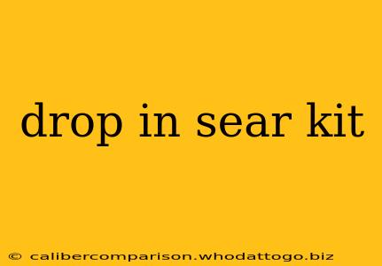 drop in sear kit