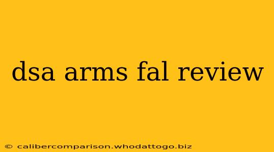 dsa arms fal review