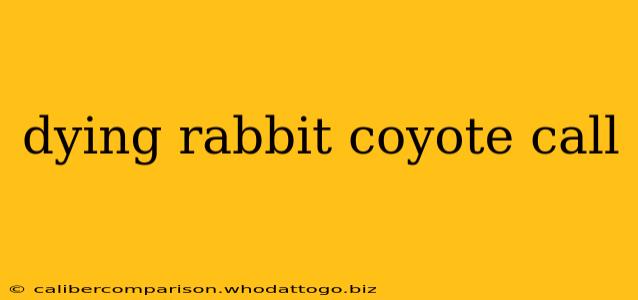 dying rabbit coyote call