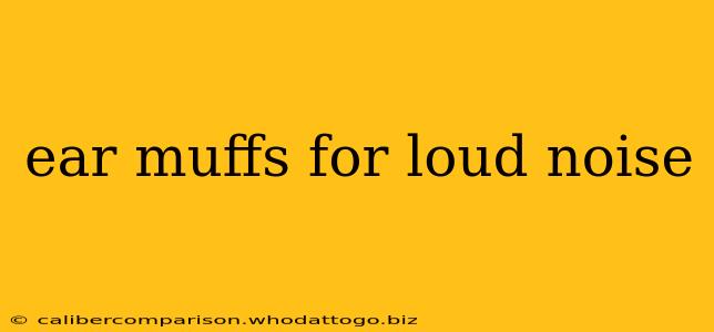 ear muffs for loud noise