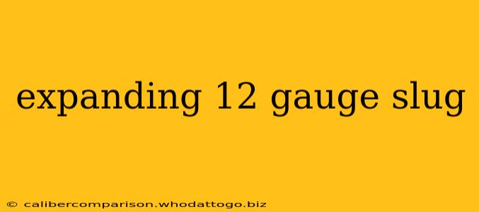 expanding 12 gauge slug