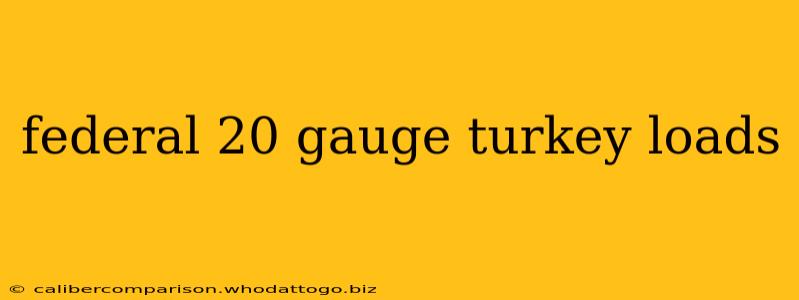 federal 20 gauge turkey loads