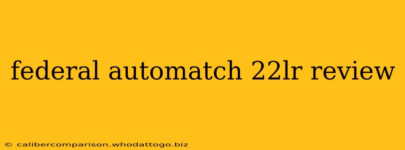 federal automatch 22lr review