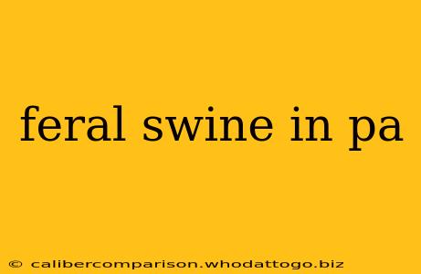 feral swine in pa