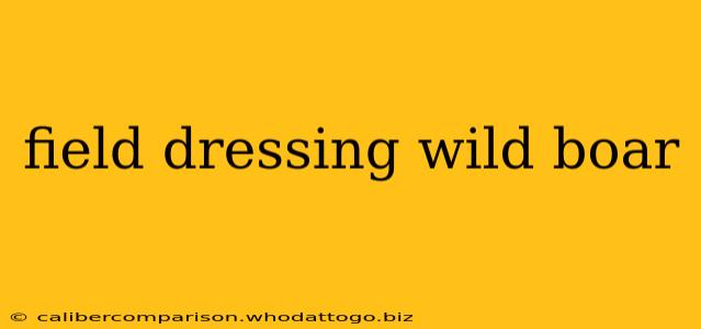 field dressing wild boar