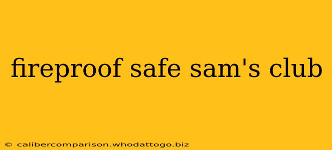 fireproof safe sam's club