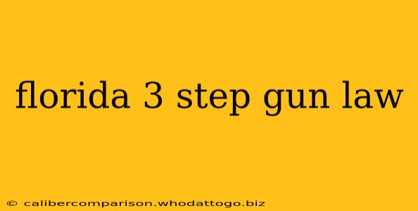 florida 3 step gun law