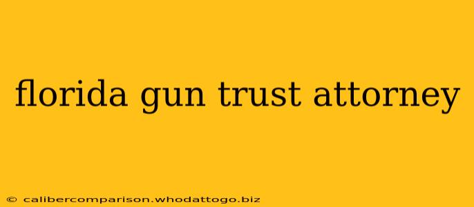 florida gun trust attorney