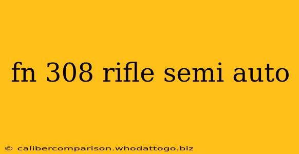 fn 308 rifle semi auto