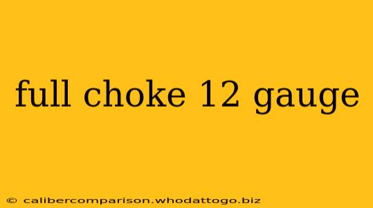 full choke 12 gauge