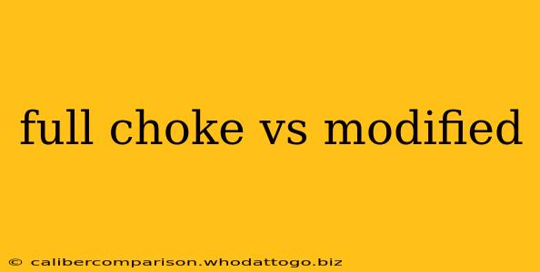 full choke vs modified