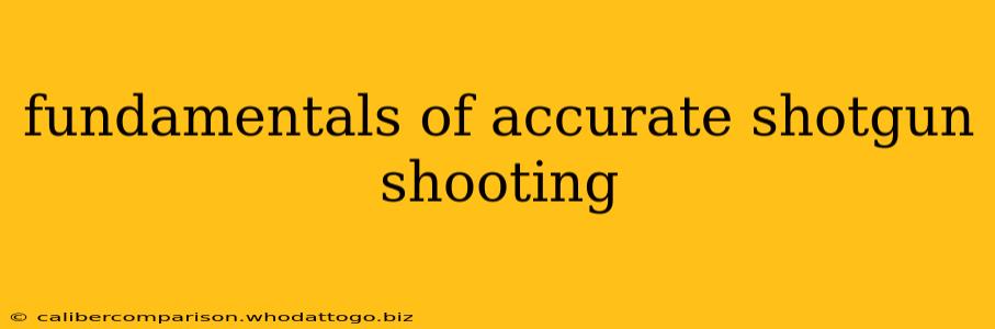 fundamentals of accurate shotgun shooting