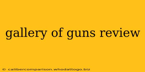 gallery of guns review