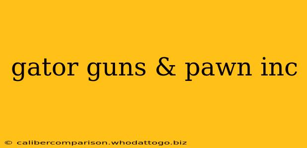 gator guns & pawn inc