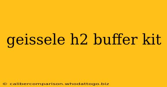 geissele h2 buffer kit