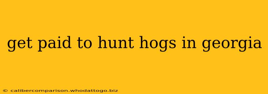 get paid to hunt hogs in georgia