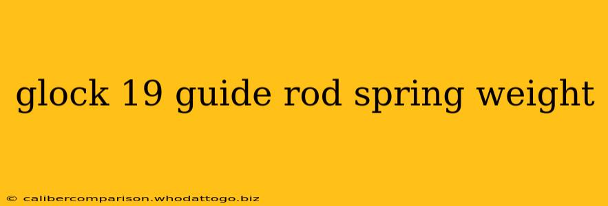 glock 19 guide rod spring weight