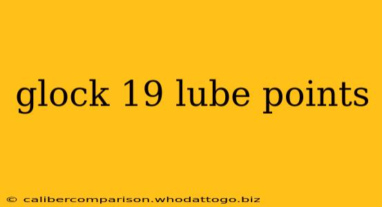 glock 19 lube points