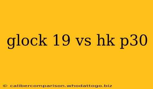 glock 19 vs hk p30