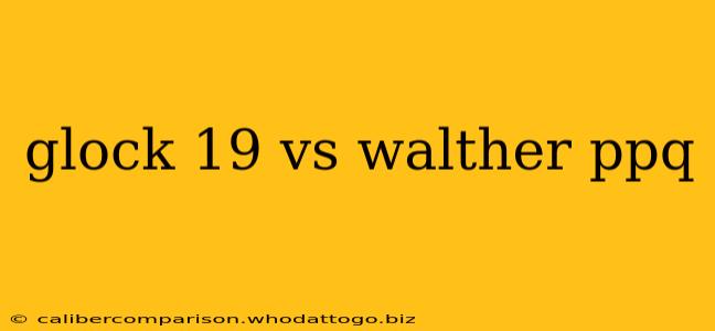 glock 19 vs walther ppq