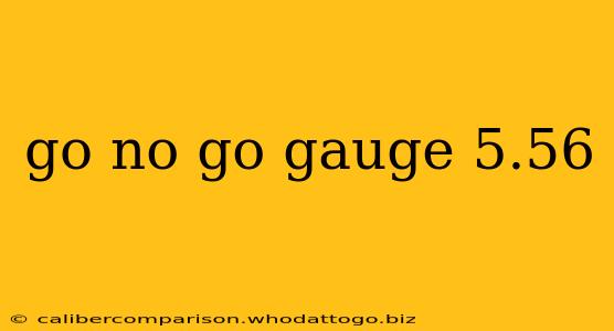 go no go gauge 5.56