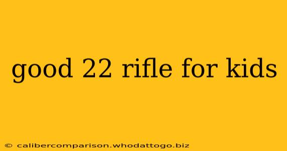 good 22 rifle for kids