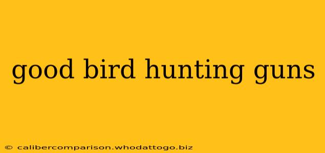 good bird hunting guns