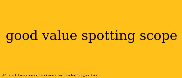 good value spotting scope