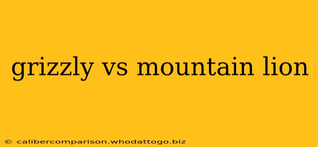 grizzly vs mountain lion