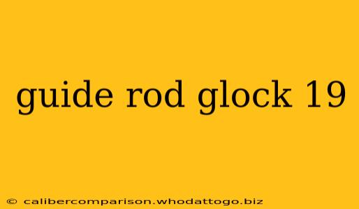 guide rod glock 19