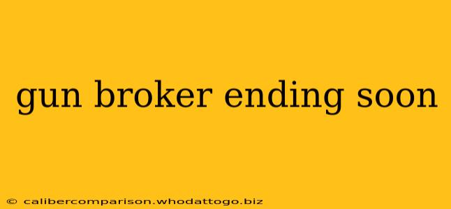 gun broker ending soon