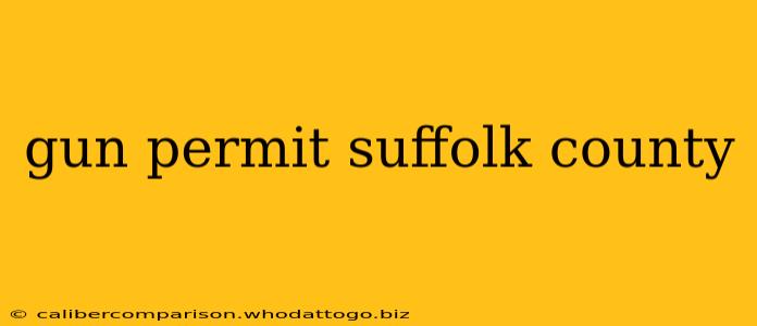 gun permit suffolk county