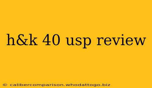 h&k 40 usp review