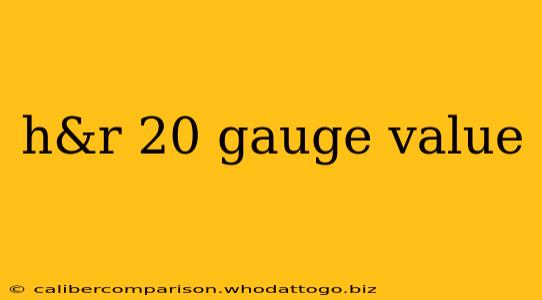 h&r 20 gauge value