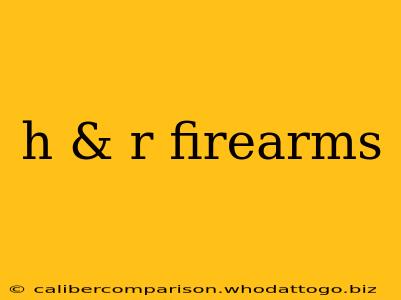 h & r firearms