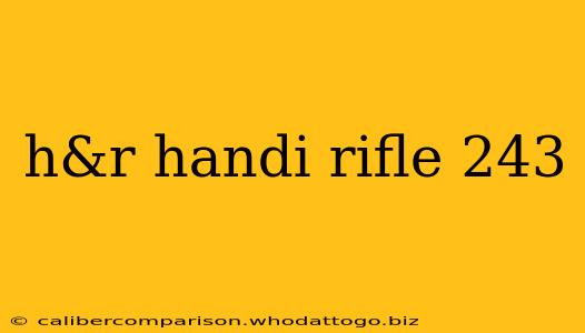 h&r handi rifle 243