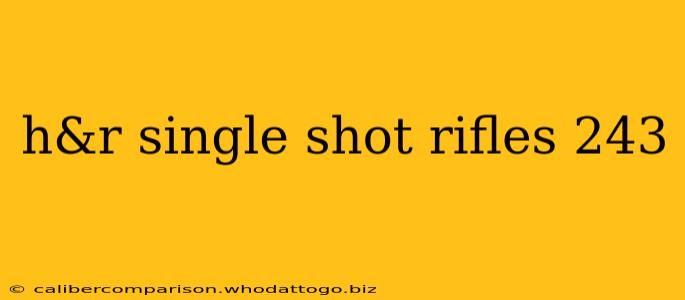 h&r single shot rifles 243