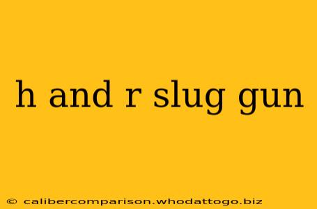 h and r slug gun