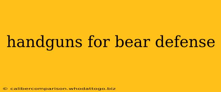 handguns for bear defense