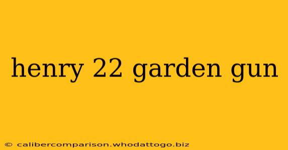 henry 22 garden gun