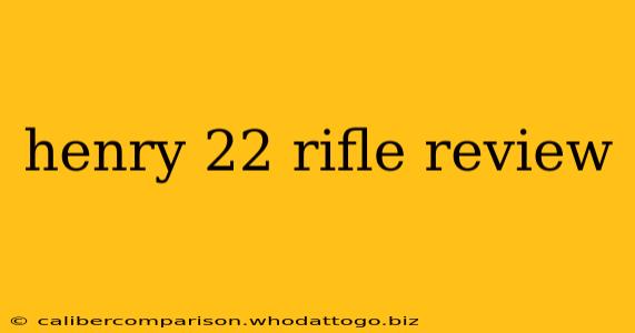 henry 22 rifle review