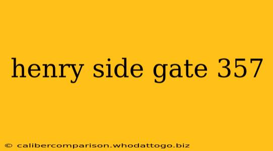 henry side gate 357