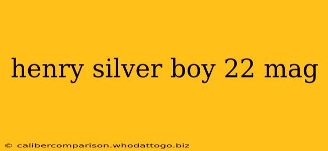 henry silver boy 22 mag