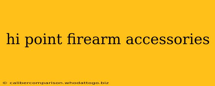 hi point firearm accessories