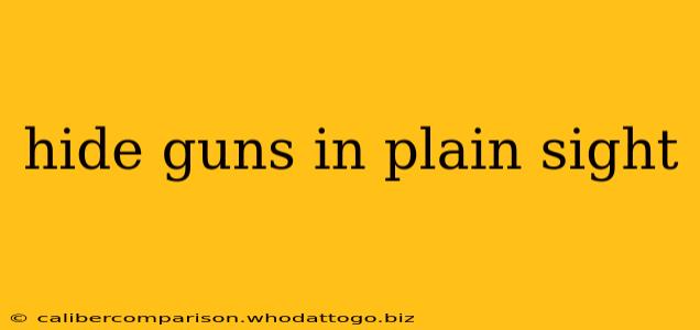 hide guns in plain sight