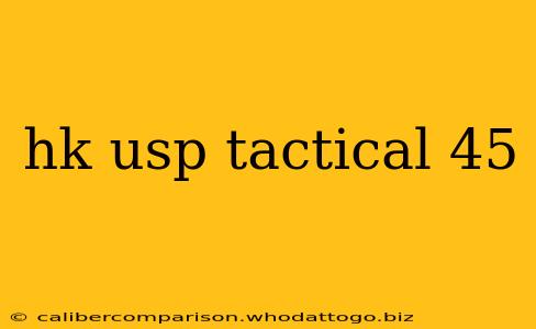 hk usp tactical 45