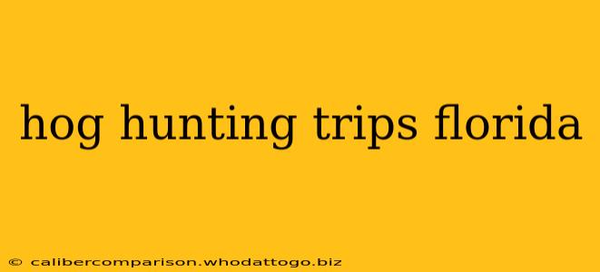 hog hunting trips florida