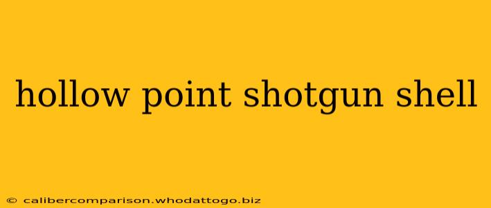 hollow point shotgun shell