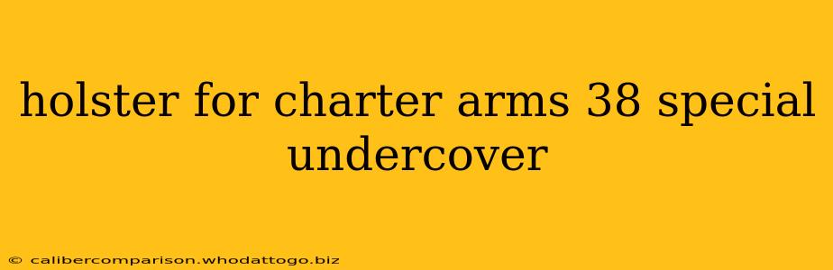 holster for charter arms 38 special undercover