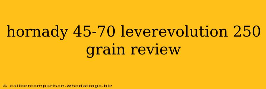 hornady 45-70 leverevolution 250 grain review